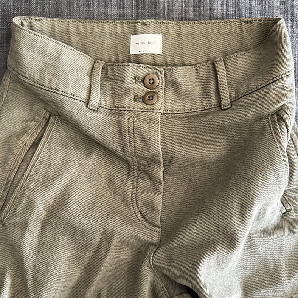 Aritzia Wilfred cargo pants